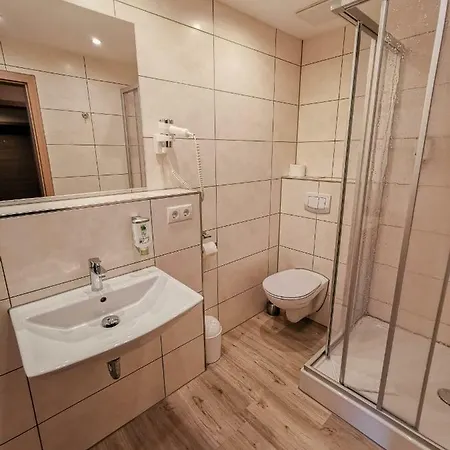 فندق Wald-hotel 3*